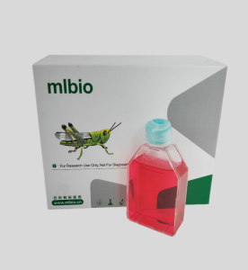 LLC-MK2恒河猴腎細(xì)胞主圖